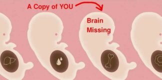 Menselijke embryo’s ZONDER HOOFDEN die in mechanische baarmoeders worden gekweekt