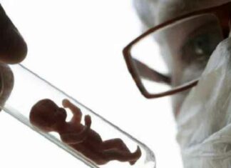 “Baby’s voor reserve onderdelen”: Wetenschappers creëren ’s werelds eerste in het lab gekweekte “synthetische embryo”