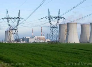 Waarom sluit België kerncentrales midden in een energiecrisis en een naderende winter zonder gas?