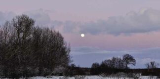 Eerste sneeuw bereikt Oekraïne; Europa gaat een koude, donkere, (dodelijke) winter tegemoet