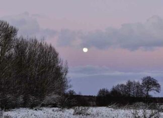 Eerste sneeuw bereikt Oekraïne; Europa gaat een koude, donkere, (dodelijke) winter tegemoet
