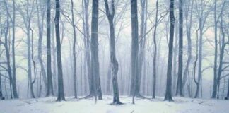 Winter – Zal Europa breken met de Verenigde Staten?
