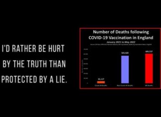 Schokkende cijfers door regering gepubliceerd over door COVID-vaccinatie sterfgevallen: 1 op 73 dood in mei 2022, 1 op 246 dood binnen 60 dagen & 1 op 482 dood binnen een maand