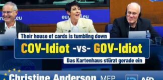 Duidelijke woorden in het EU-parlement: Het kaartenhuis stort in!
