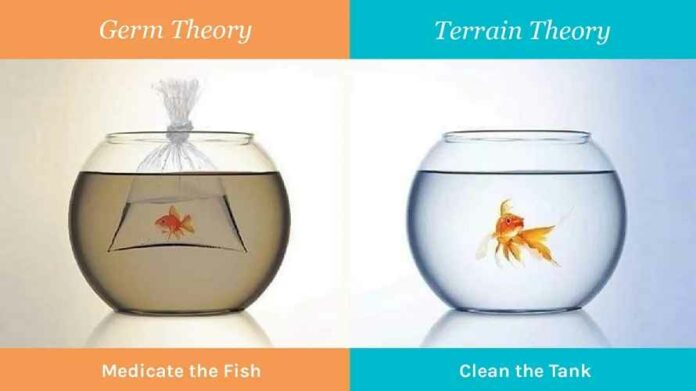 theory vaccin