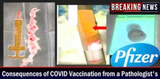 Gevolgen van COVID-vaccinatie vanuit het perspectief van een patholoog – Decimeters-lange bloedklonters, kanker, onvruchtbaarheid