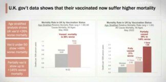 Deze grafiek “vertelt het hele verhaal”: Sterfte onder gevaccineerden tot 145% hoger