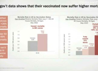 Deze grafiek “vertelt het hele verhaal”: Sterfte onder gevaccineerden tot 145% hoger