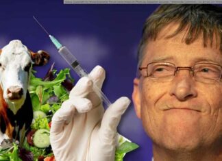 Bill Gates overtuigt overheid om bevolking te ‘prik-dwingen’ door mRNA toe te voegen aan alledaagse voedingsmiddelen