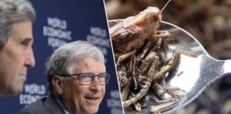 HYPOCRIETEN! Globalistische elite in Davos vertelt u krekels te eten… Maar dit is wat er op het Davos WEF menu stond (Hint: het zijn GEEN insecten)