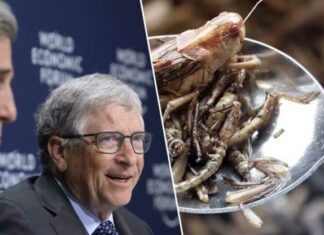 HYPOCRIETEN! Globalistische elite in Davos vertelt u krekels te eten… Maar dit is wat er op het Davos WEF menu stond (Hint: het zijn GEEN insecten)