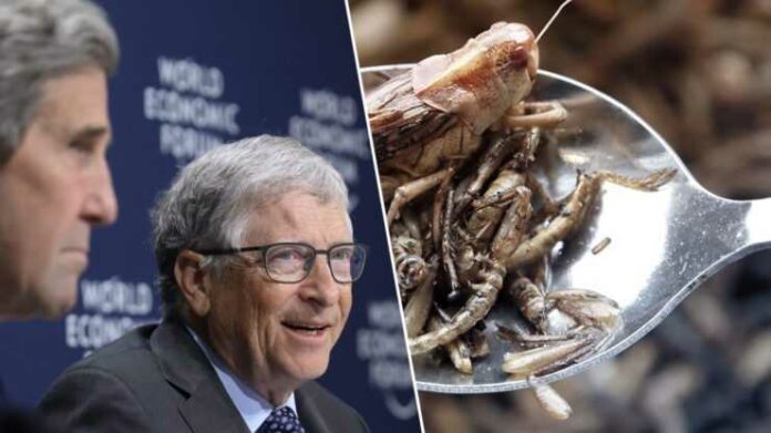 INSECTEN-DAVOS-RESET
