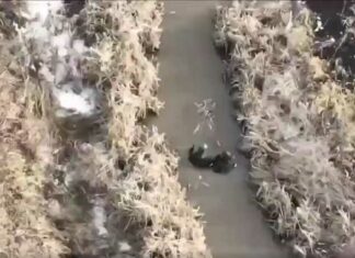 BREAKING NEWS: Video bewijst dat Oekraïne chemische wapens gebruikt tegen Russische troepen