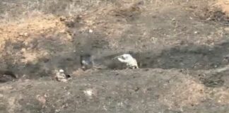 De gruwelijke video van de executie van de gewonde Rus die Yevgeny Prigozhin woedend maakte – “Daarom zullen we iedereen op het slagveld doden”
