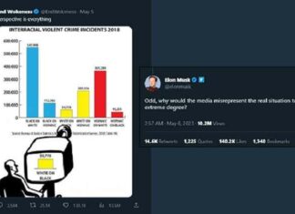 Elon Musk: Waarom geeft de media een verkeerd beeld van raciale criminaliteit “in zo’n extreme mate”?