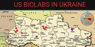 Rusland: Bewijs verzameld van vogelgriepverwekkers met een dodelijkheidsgraad tot 40% bij mensen in VS-biolabs in Oekraïne