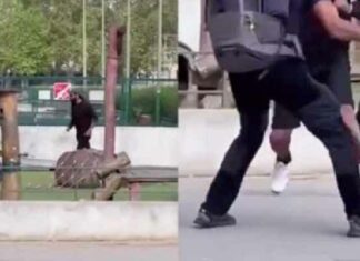 “Ik liet me leiden door de Voorzienigheid en de Maagd Maria” – slungelige Franse student op pelgrimstocht confronteerde asielzoeker die jonge kinderen in het park neerstak, wordt geprezen als ‘rugzakheld’ (Video)