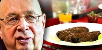 WEF verklaart dat mensen uitwerpselen moeten eten en urine moeten drinken om klimaatverandering tegen te gaan
