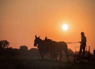 De Amish: een controlegroep voor technofeodalisme