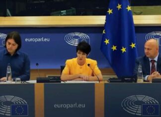 Christine Anderson aan de “WHO Globalisten”: “Wij zullen jullie ten val brengen”