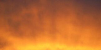 Klimaatwaanzin op de troon
