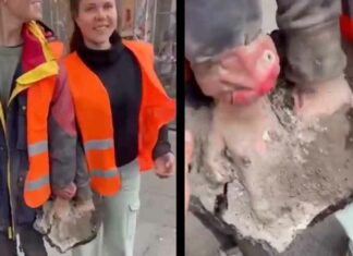 Idiote klimaatactivisten die zichzelf aan de weg ‘vastlijmden’ hebben misschien een amputatie nodig