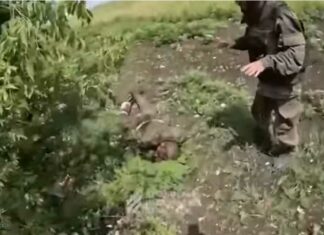 Video: Russische soldaat kiest dood door granaat om niet gevangen te worden genomen door de Oekraïners