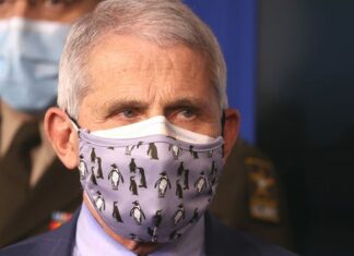 FBI neemt telefoons en computers van Fauci in beslag na belangrijke doorbraak in onderzoek naar oorsprong COVID