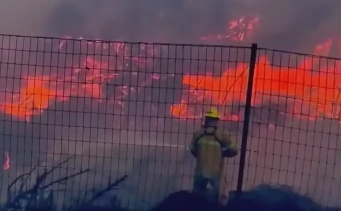 maui-fires