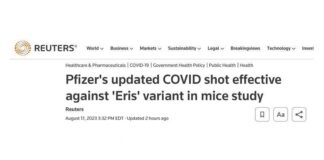 Tijd voor uw ACHTSTE dosis: Pfizer zegt dat de nieuwste booster niet op mensen zal worden getest, maar dat het geweldig werkt op muizen!