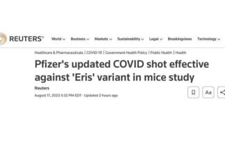 Tijd voor uw ACHTSTE dosis: Pfizer zegt dat de nieuwste booster niet op mensen zal worden getest, maar dat het geweldig werkt op muizen!