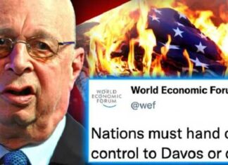 Klaus Schwab bejubelt de komst van de “Nieuwe Wereldorde” terwijl het WEF de controle over de landen overneemt