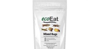 Bugs R Coming & u zult ze eten