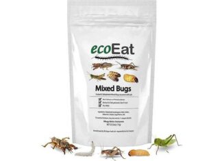 Bugs R Coming & u zult ze eten