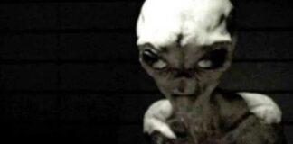 Enorme UFO-archief met 3,8 miljoen pagina’s op mysterieuze wijze verwijderd enkele uren nadat Trump opdracht gaf tot vrijgave van geheime alien dossiers