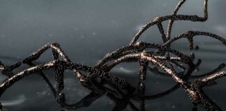 Hoe zijn GENETISCH GEMODIFICEERDE MENSEN en iedereen die Covid mRNA-injecties kreeg vergelijkbaar met gewassen met DNA-mutatie zoals genetisch gemodificeerde maïs en genetisch gemodificeerde soja?