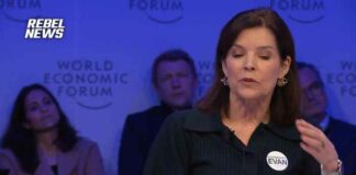 WSJ-hoofdredacteur vertelt de elite in Davos ‘Het nieuws is niet langer van ons’