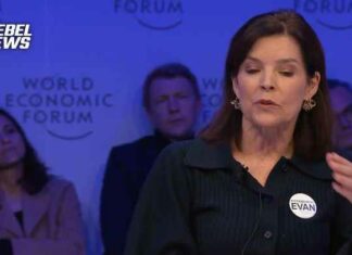 WSJ-hoofdredacteur vertelt de elite in Davos ‘Het nieuws is niet langer van ons’