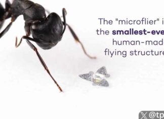 WEF onthult ‘vliegende microchips’ die ‘gedachtemisdaden’ kunnen detecteren en ‘je hersenen kunnen uitschakelen’