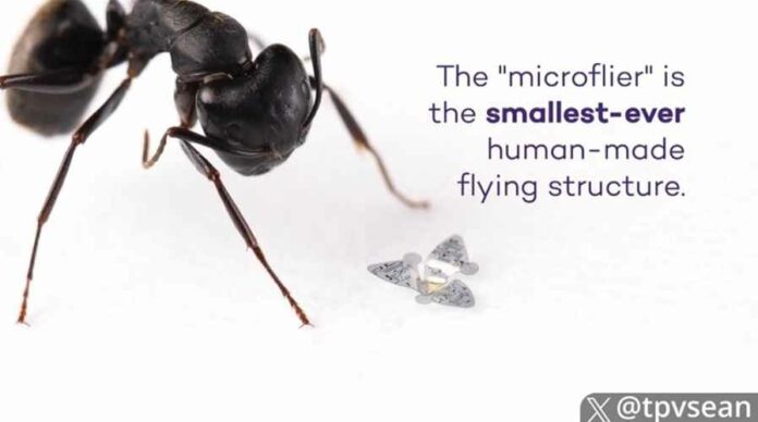 Microflier