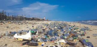 Zijn de miljarden kankerverwekkende plastic deeltjes die in ons voedsel terechtkomen een vorm van wereldwijde bevolkingscontrole?