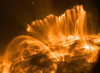 Deskundigen waarschuwen dat ‘dreigende zonnestorm’ 90% van de mensheid zal uitroeien