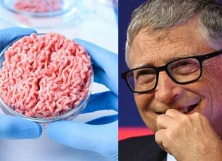 Bill Gates’ in laboratoria gekweekt vlees onthuld: “Echt gruwelijk”