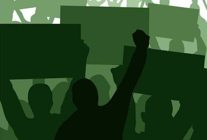 revolutie-groen