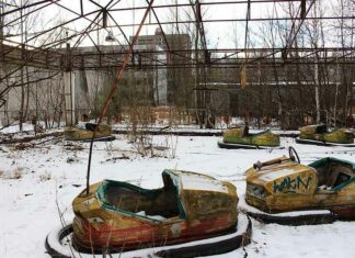 Gemuteerde wolven van Tsjernobyl ontwikkelen ogenschijnlijke immuniteit tegen kanker
