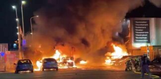 Video: Bekijk de Eritrese oorlog in Nederland