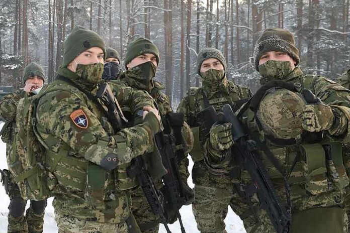 NAVO-soldaten-210119-A-DQ632-008