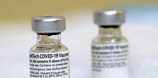 BREAKING: Telegraph meldt dat Pfizer schuldig is bevonden, heeft bekend het publiek te hebben misleid over de werkzaamheid van hun COVID-19 vaccin