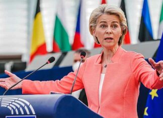 EU realiseert zich dat het te duur is om haar “Green Deal” te implementeren en het zich niet kan veroorloven