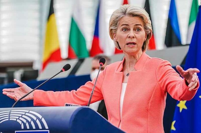 Von_der_Leyen_gesticulating